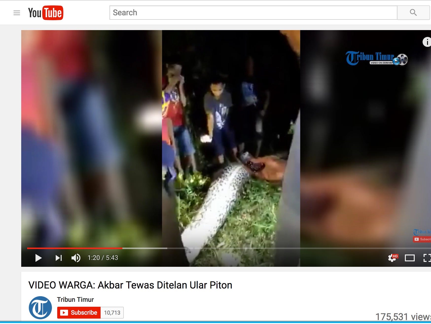 Tribun Timur posted the video of people cutting open the snake at night. People crowd around as the snake's skin is pulled back, revealing an intact body laying on its side.