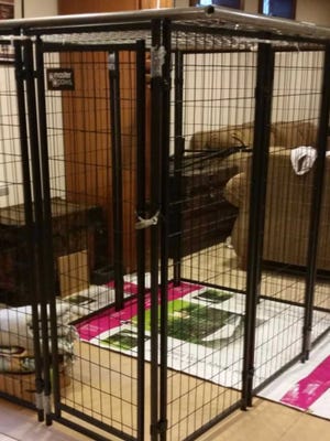 A man and a woman are suspected of keeping a 9-year-old girl locked inside this dog cage at a home in the Town of Norway.