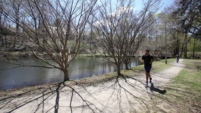 Trees cast a decorative shadow as a jogger runs along the Bronx River Pathway north of Greenacres Avenue in Scarsdale.