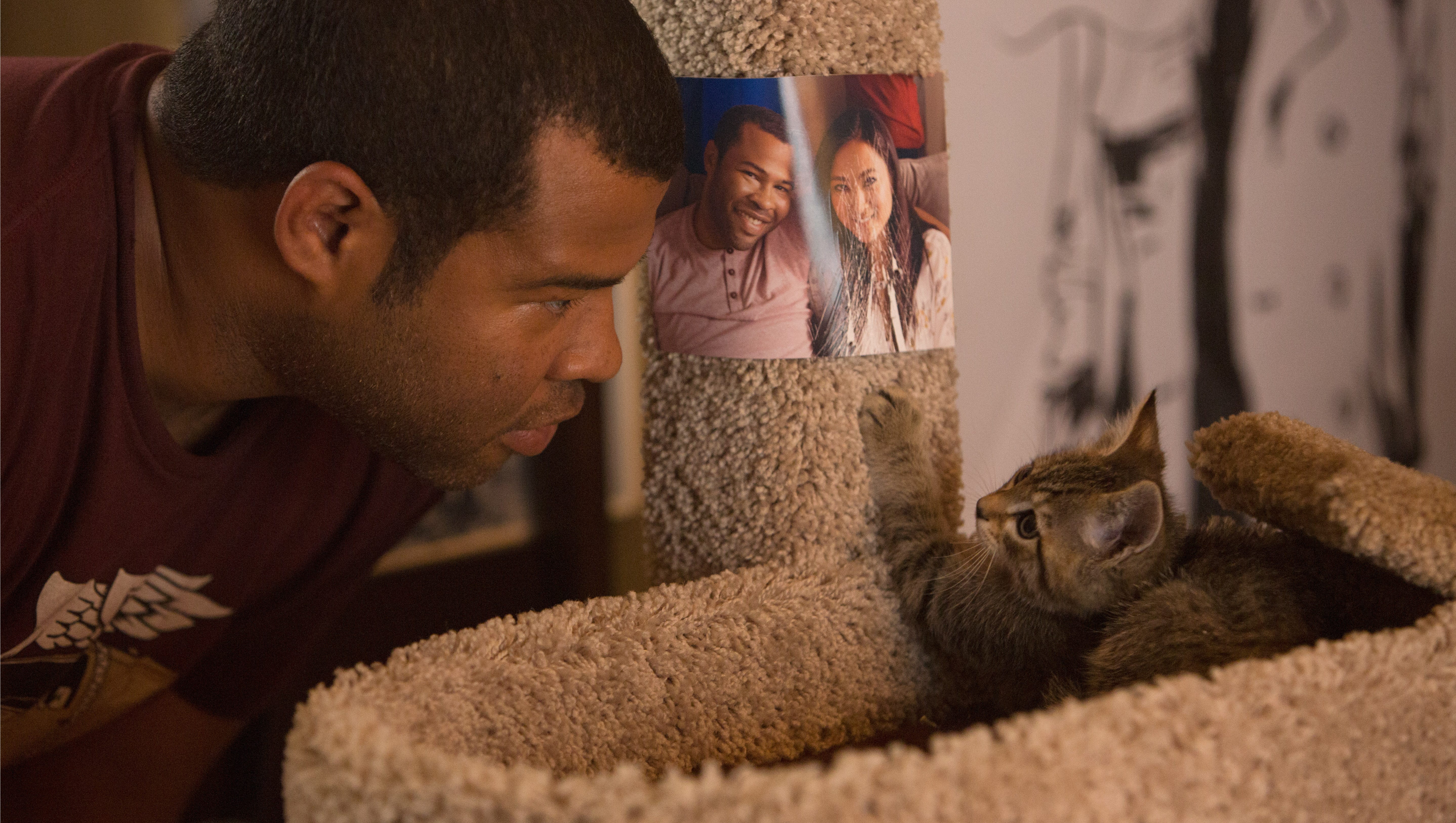 Kitties Litter The Set Of Key And Peele S Keanu
