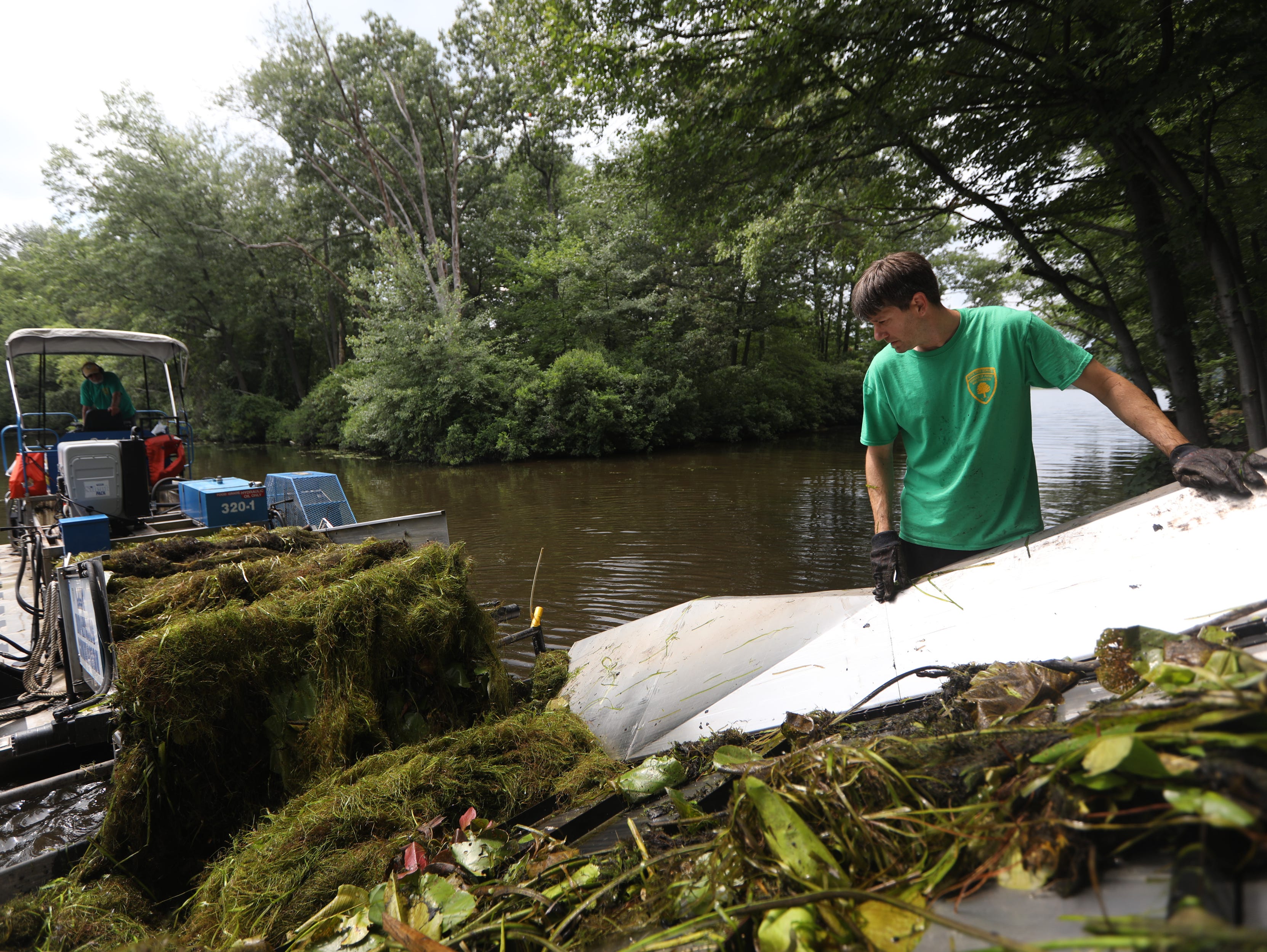 Photo of NJ lakes face too much phosphorus, causing harmful algae blooms