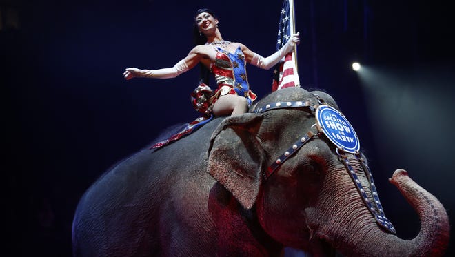 An Asian elephant is paraded around at the Ringling Brothers and Barnum and Bailey Circus at the Donald L. Tucker Civic Center Jan. 8, 2015.