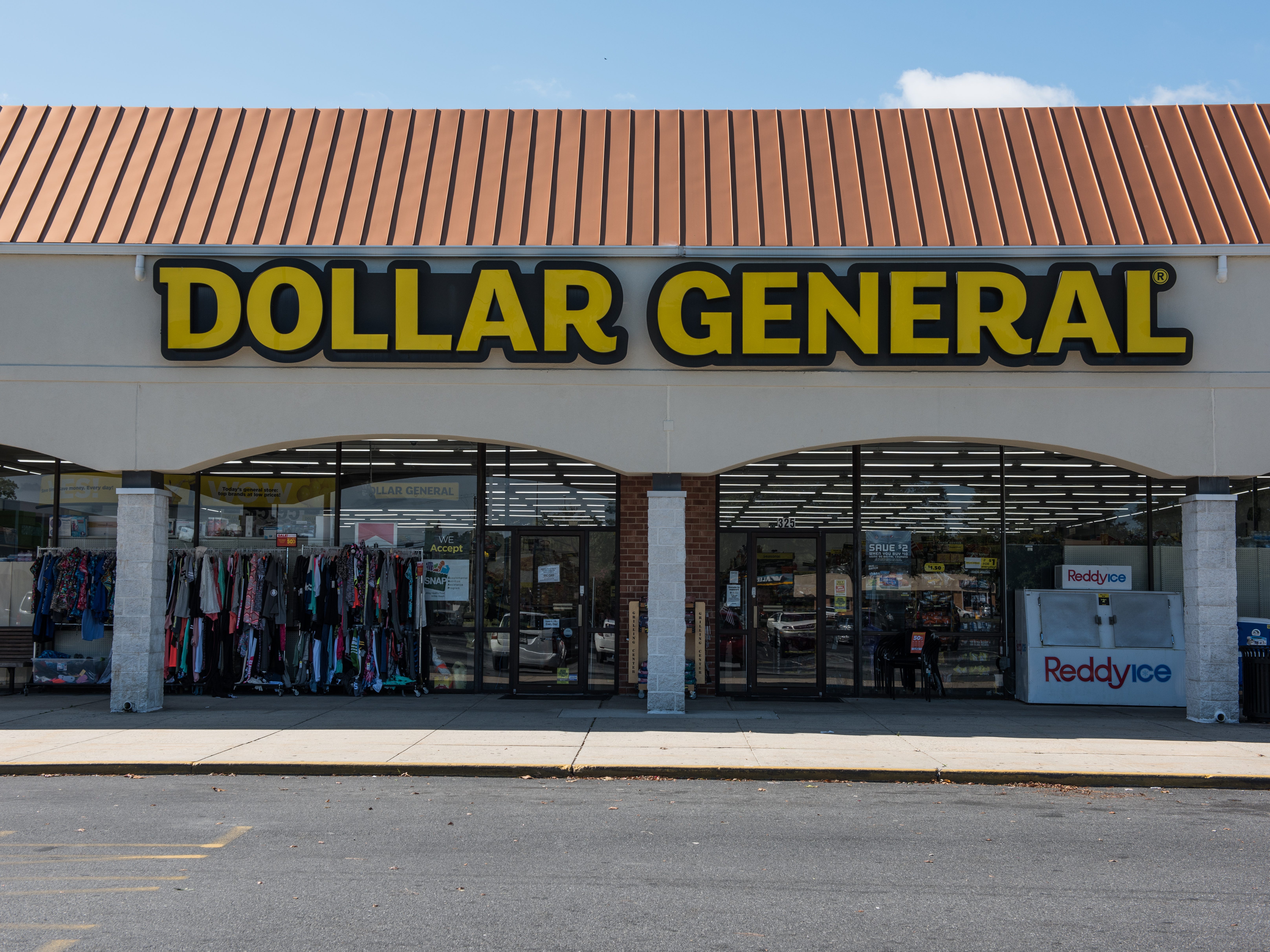 dollar store kitty litter