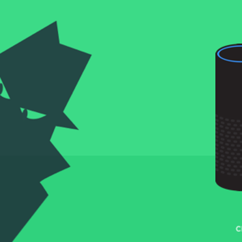 An illustration from an Amazon skill that runs an...