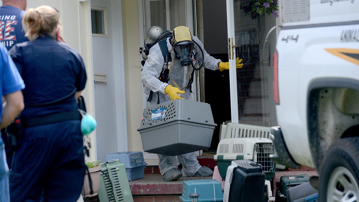 Toxic Home Of Live Dead Cats Not Fit For Habitation