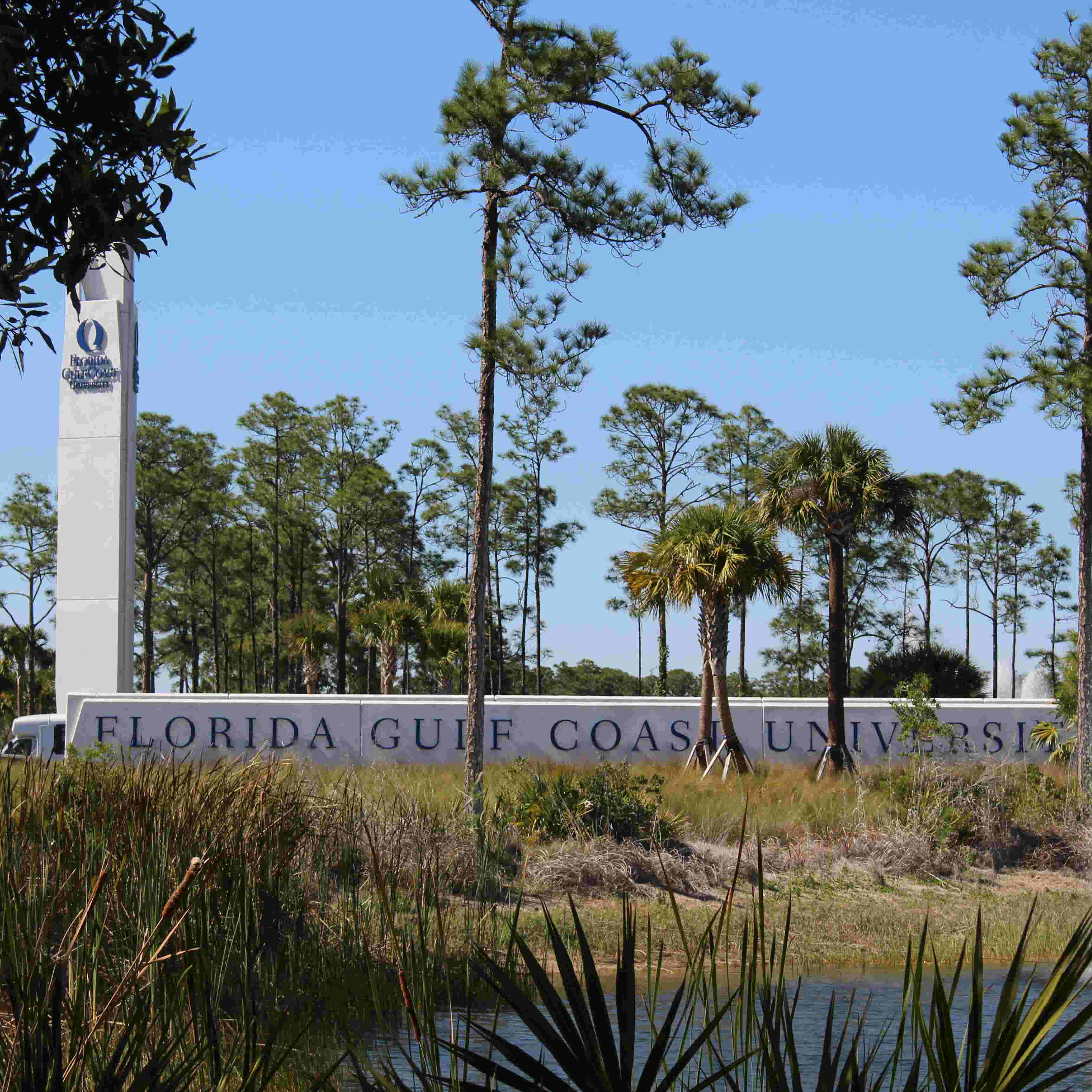 Fgcu Listed Among Best Regional Institutions In The South By U S