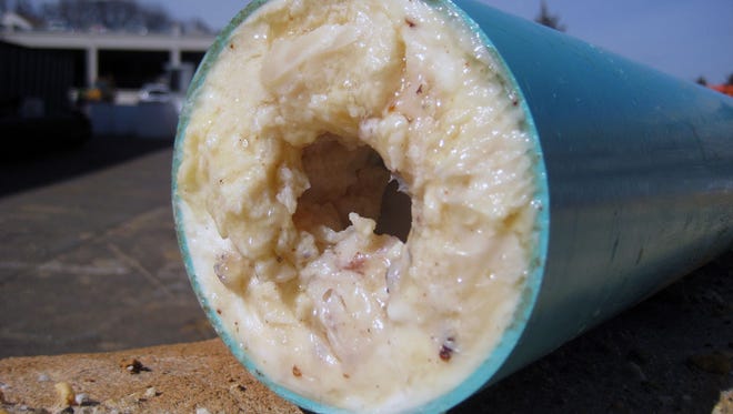 Clogged pipes with fats, oils and grease.