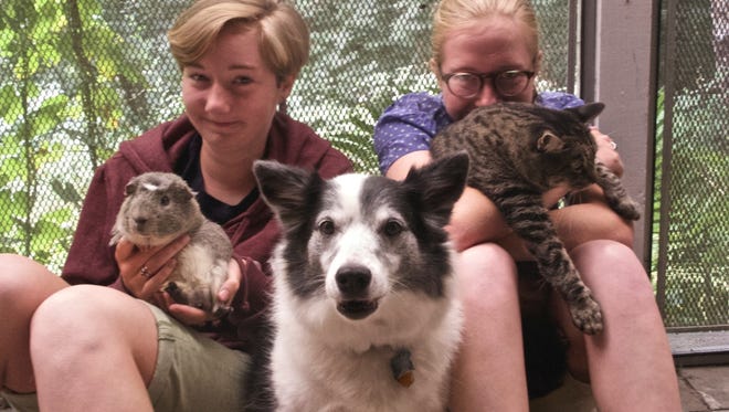 Sisters Linnea Finkle, left, and Freya Finkle of Poughkeepsie cuddle their family pets, guinea pig, Albus Percival Wulfric Brian Dumbledore; cat, Echo, and dog, Skjoa.