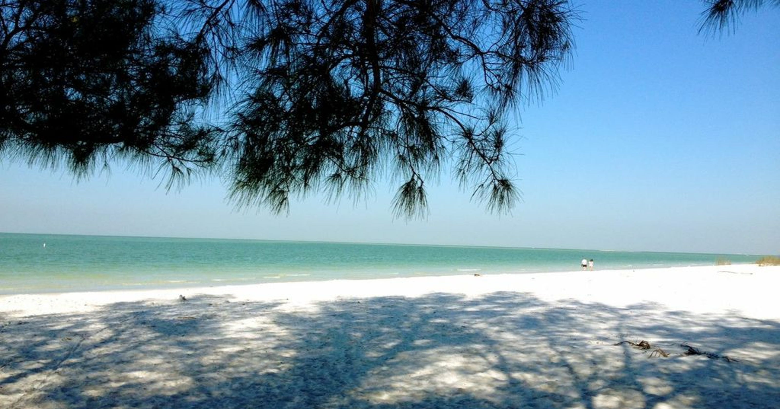 What S Florida S Best Family Beach