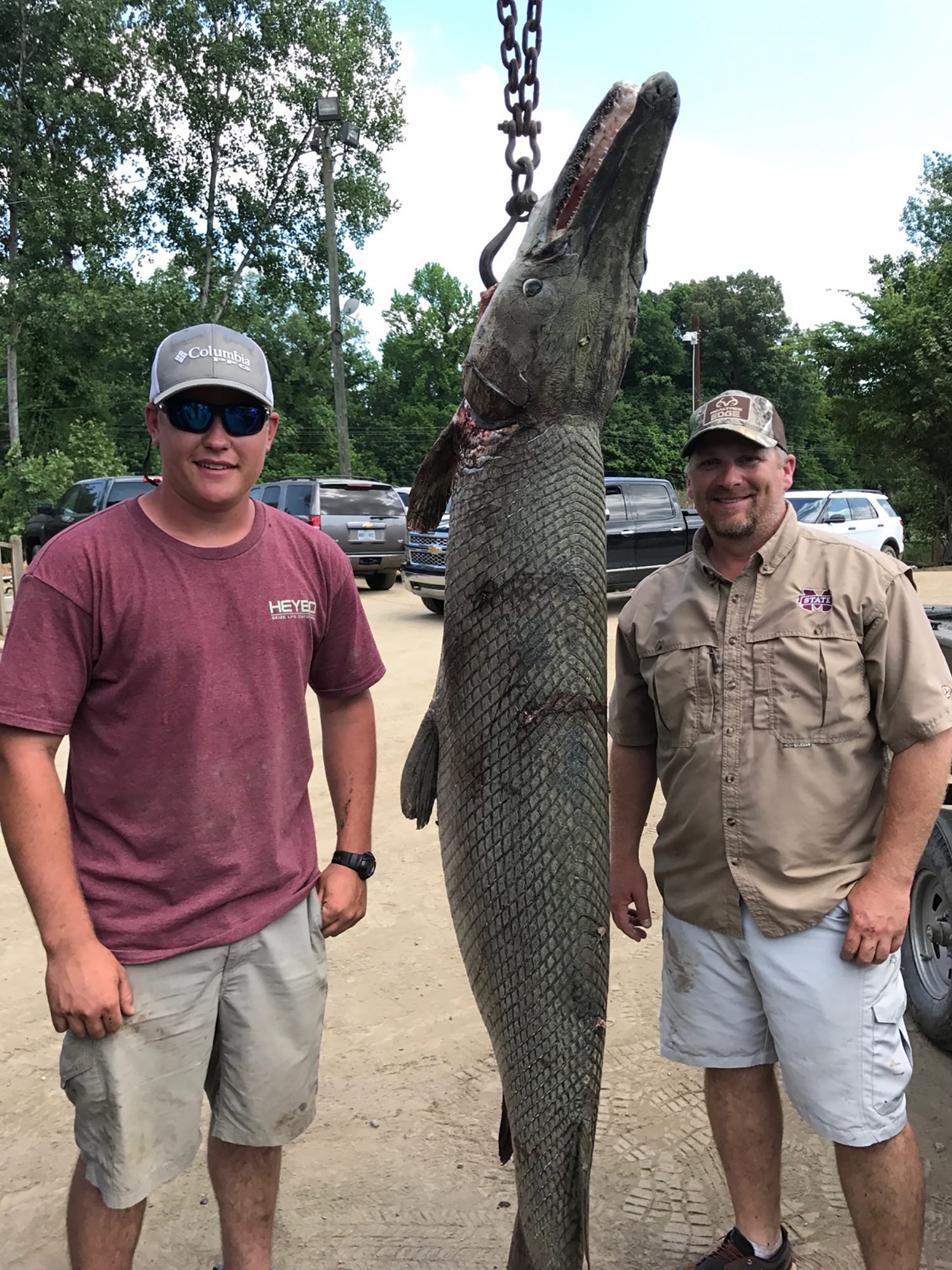 Alligator Gar Bow Fishing