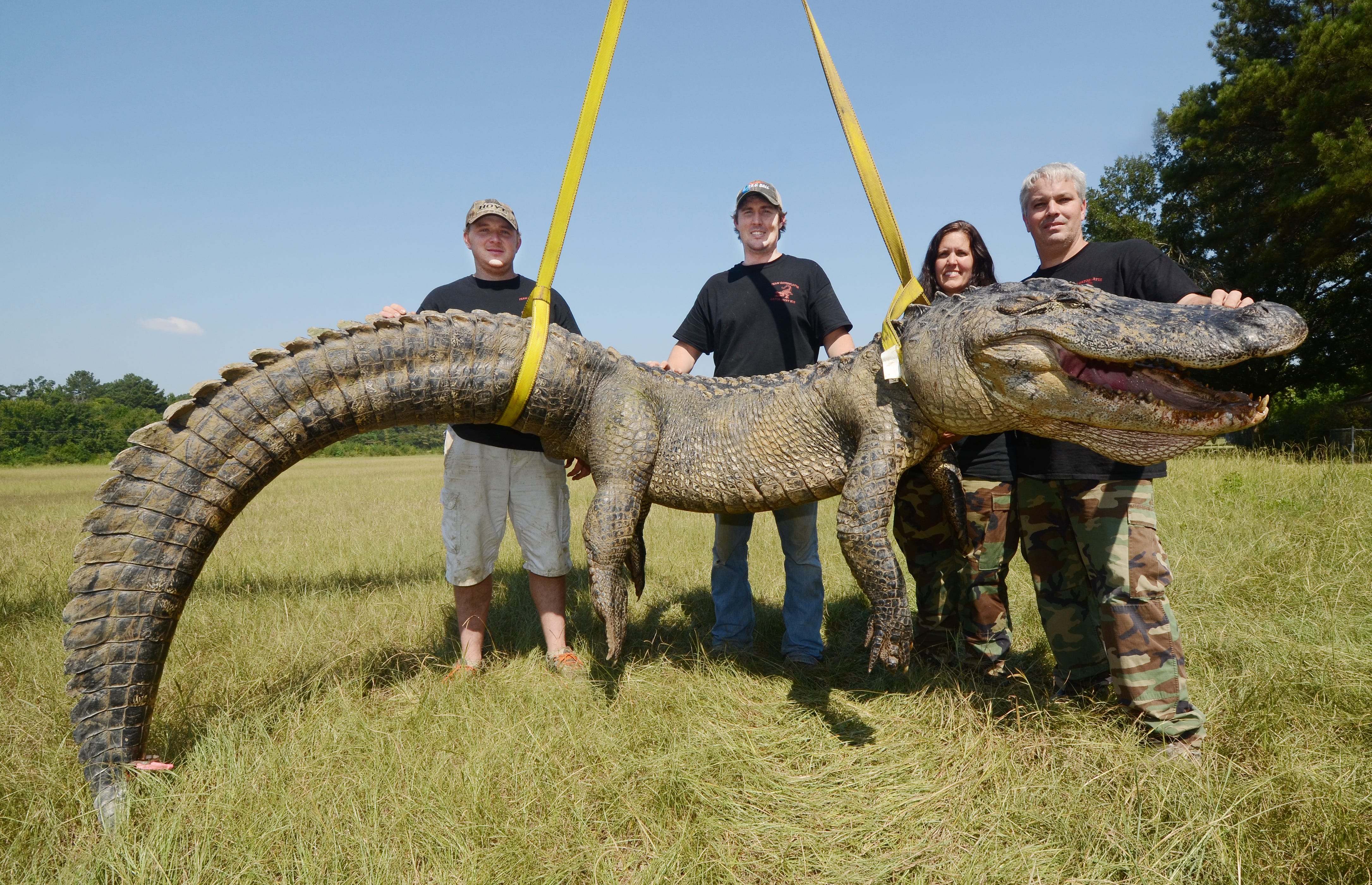 Самые большие пребольшие. Giant Alligator. Самые огромные животные. Огромный зверь.