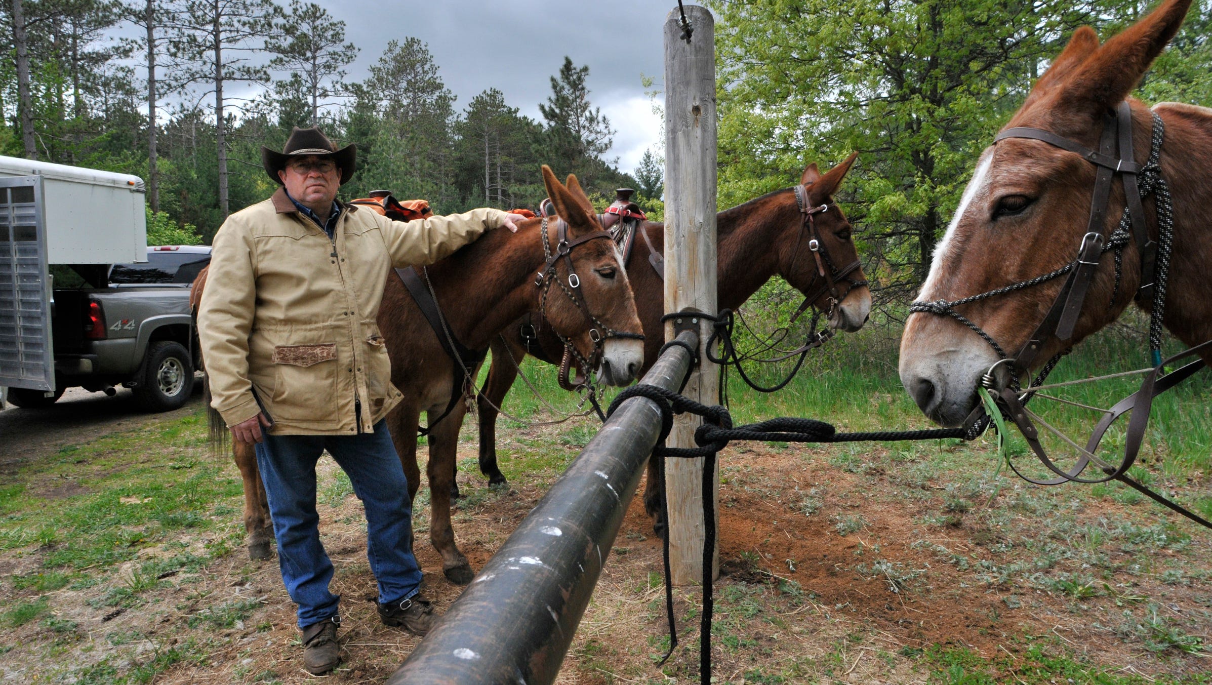 Trail riding with mules: A Minnesota club bucks myths