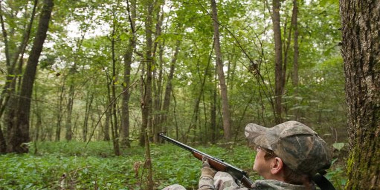 Hungry for fried squirrel? Missouri's squirrel hunting season is long