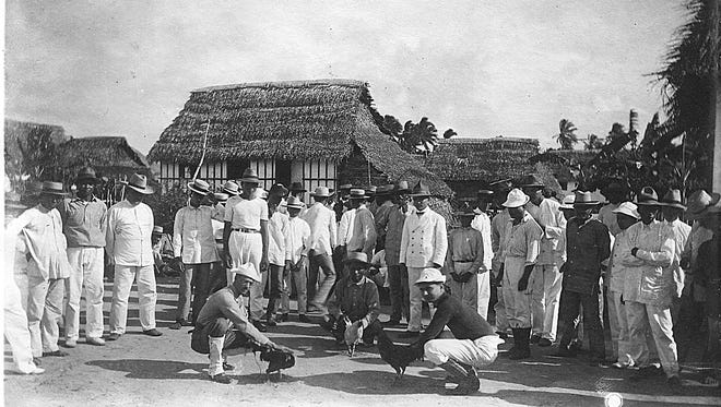 Cockfight: Three men with roosters prepare for a cockfight while many other men watch. Note long sleeve and collar-less white shirts, a common man's attire during the early years of the 20th century.
