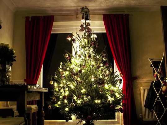 #stockphoto christmas tree
