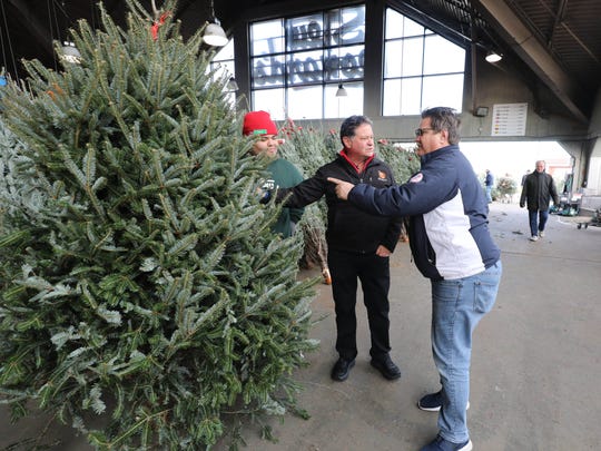 Christmas tree 101 with Stew Leonard, Jr.