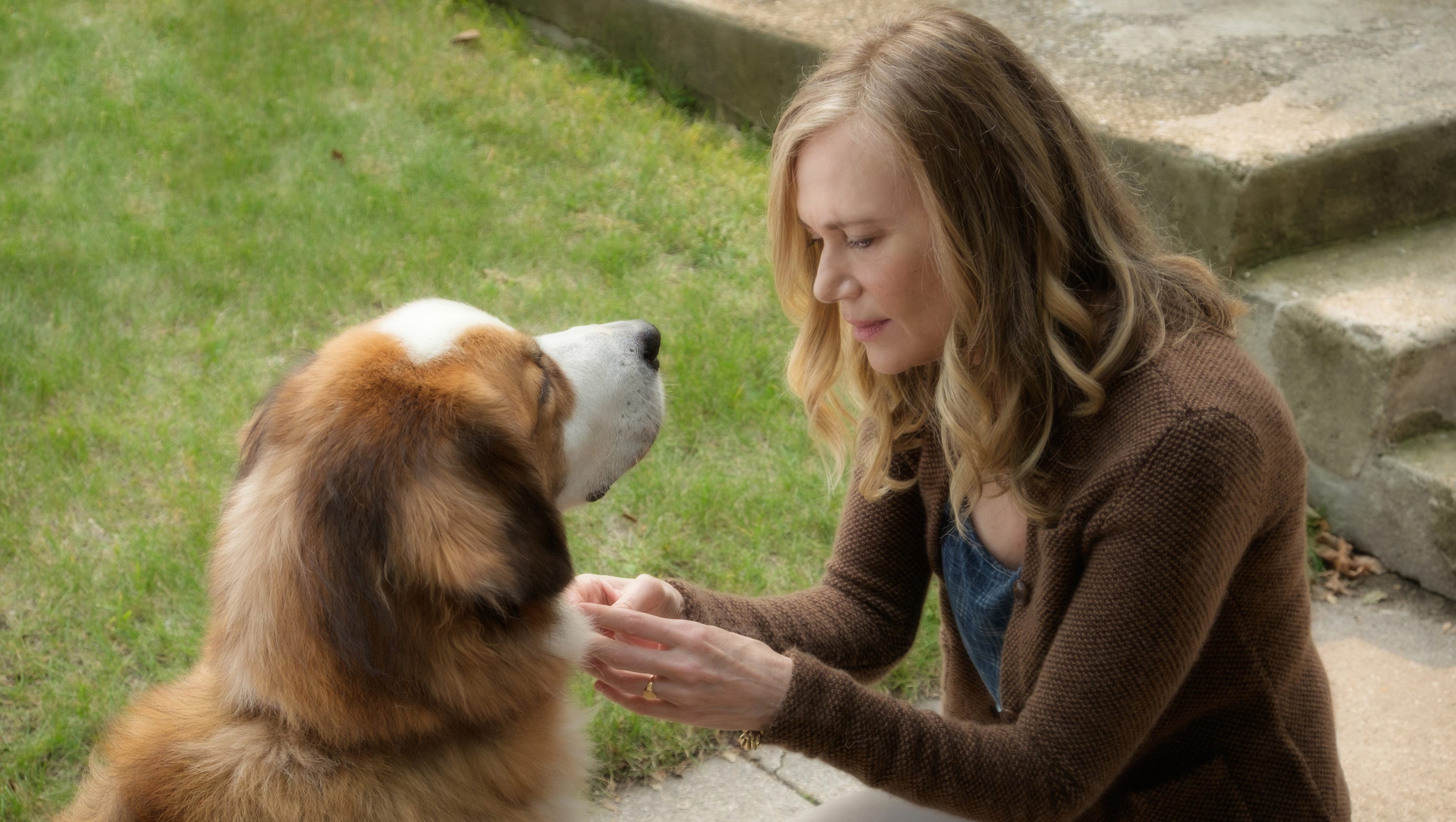 She has a dog. Пегги Липтон собачья жизнь. Собачья жизнь фильм 2017 Итан. Собачья жизнь фильм 2017. Фильм собачья жизнь Ханна.