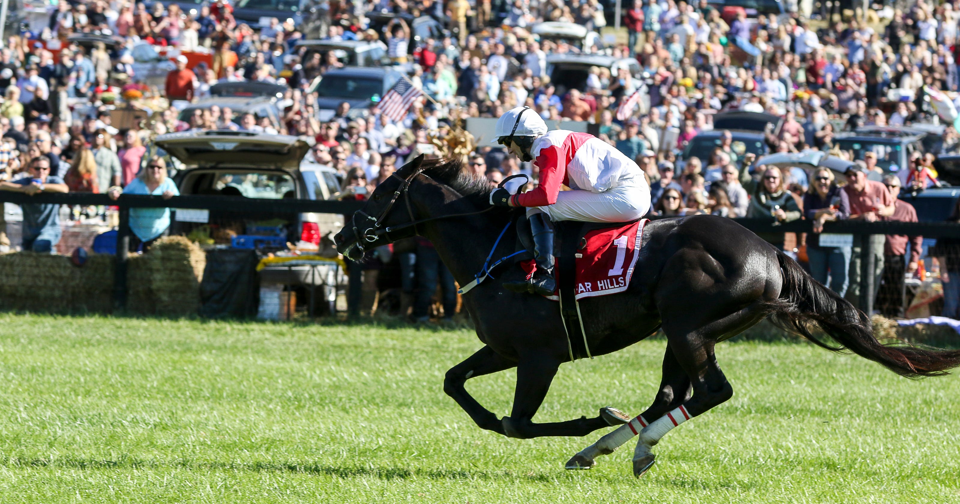 Far Hills Race Meeting is today Everything you need to know