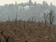 Carr Fire - Aftermath of the Carr Fire in Redding.