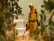 Carr Fire - Cal Fire and Fire Depts. in the northern