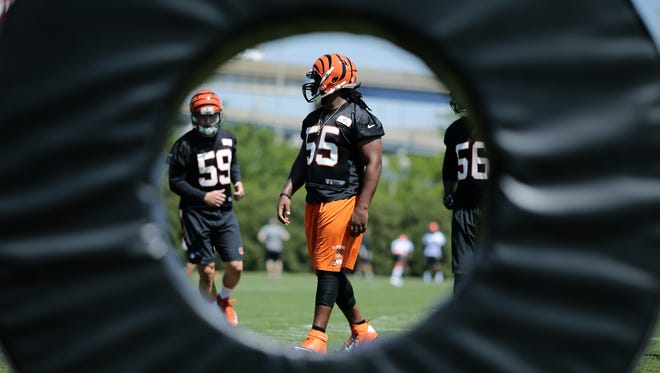 Linebacker Vontaze Burfict (55) will be at the center of attention from coaches, opponents and officials this season.