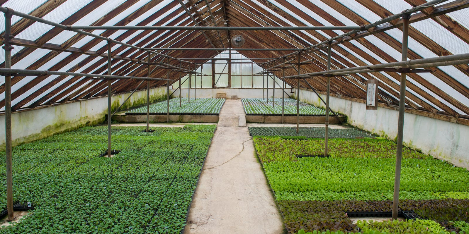 Spring Planting With Pa Weather When Should You Plant Vegetables