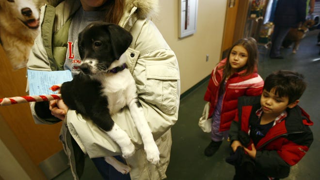A family considers a puppy at the Sioux Falls Area Humane Society. People now must register to see the animals.