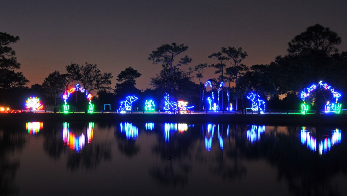 Photos Space Coast Lightfest at Wickham Park, Melbourne