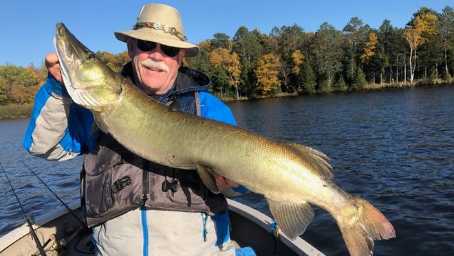 Joe Weiss of Spooner holds a 47-inch-long musky he landed on Oct. 13 in Sawyer County. The fish had another line and rod and reel attached  to it. Weiss released the fish and would like to return the rod and reel to its owner.