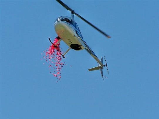 A helicopter drops thousands of plastic Easter eggs