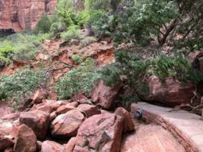 Zion National Park Preps For More Rain Popular Trails