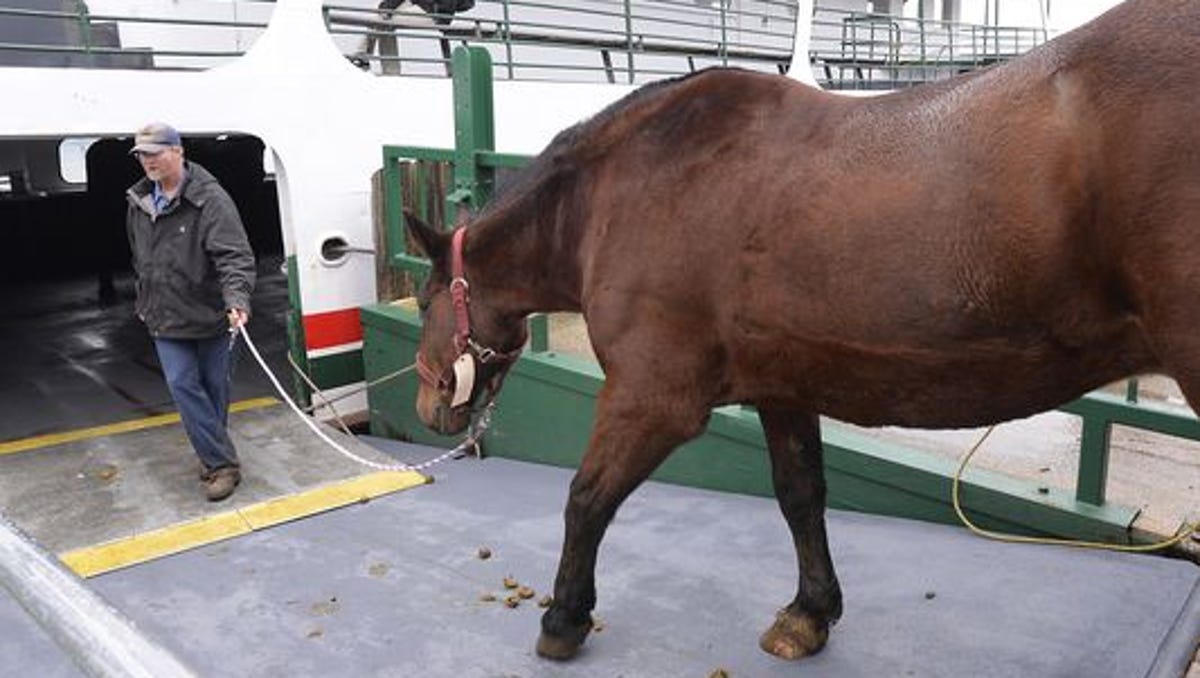 Mackinac Says Goodbye To Horses