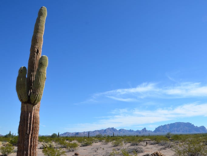 Kofa National Wildlife Refuge