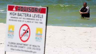 Naples And Southwest Florida News And Information Naples