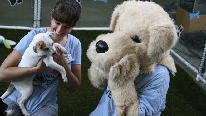 Arizona Humane Society's 16th annual Pet Telethon raised $525,000 to benefit homeless pets.