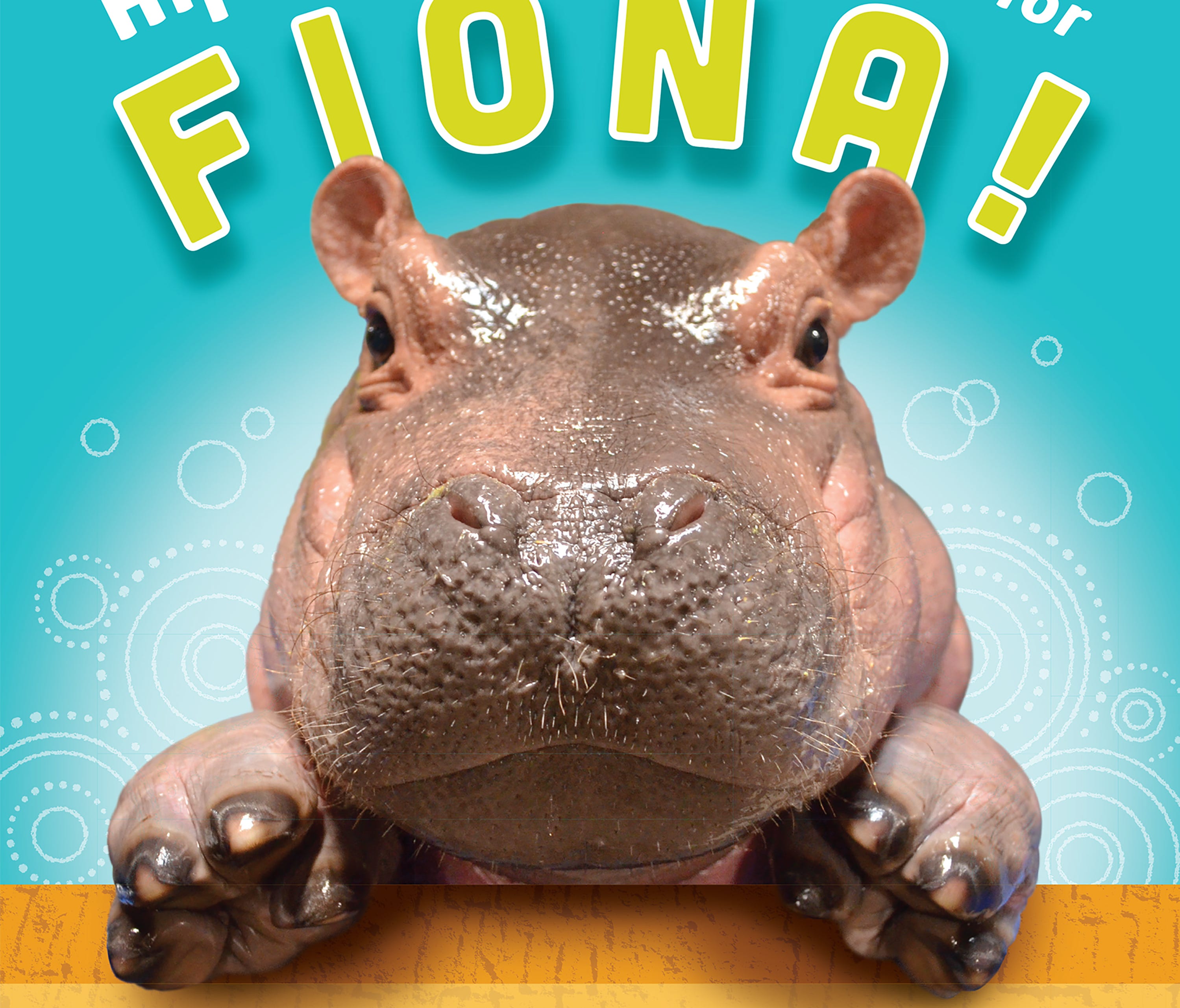 A portion of the proceeds from Fiona's first book, 