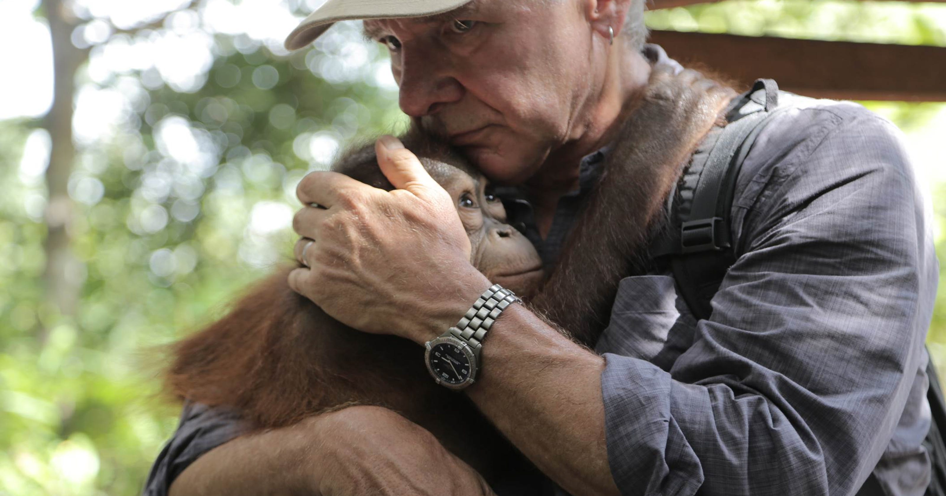 Harrison Ford channels Indiana Jones as conservation award ...