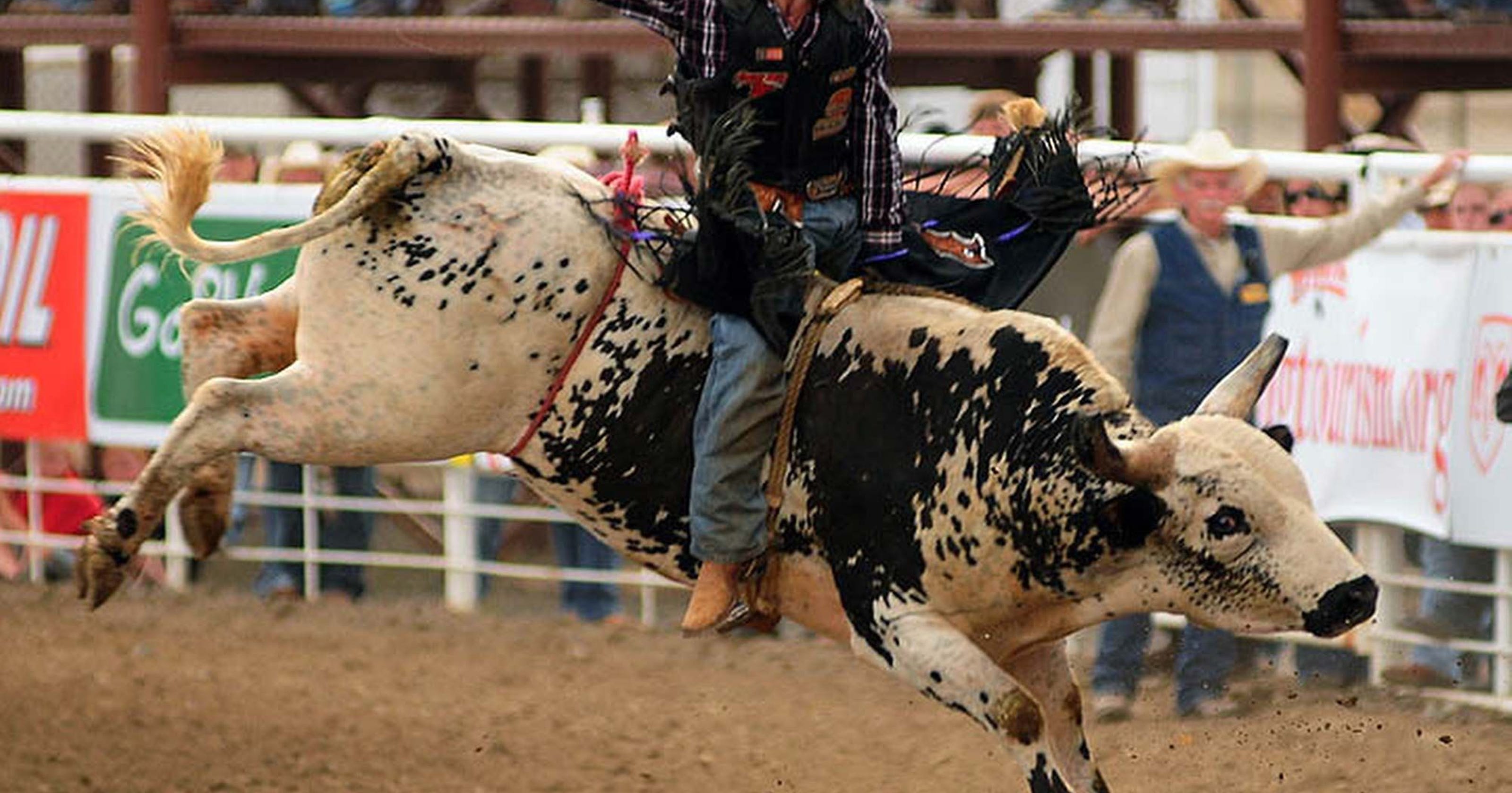 National bull riding event coming to Marshfield