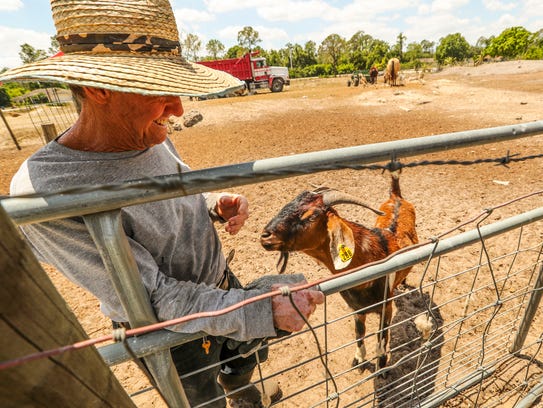 A ranch hand at Rancho Antony & Roman, Carlos Cubria,