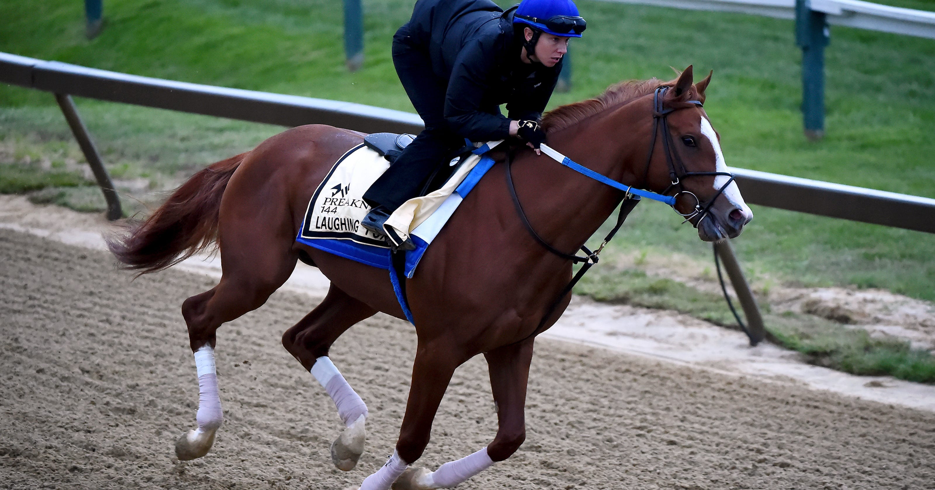 Preakness 2019 Post time, odds, horses and how to watch