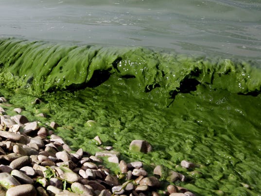 2015 Lake Erie algae bloom largest on record