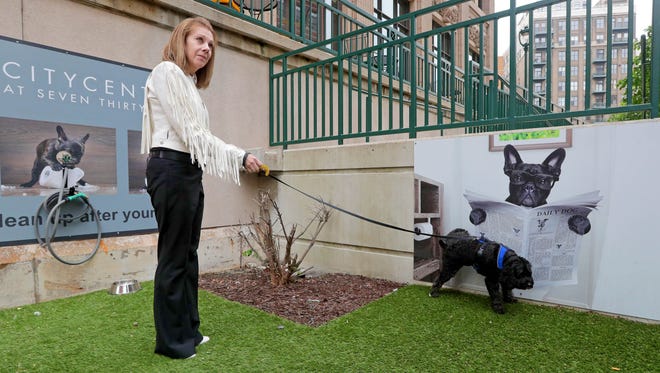 Jamey Morgan, president of Concorde Staff Source in CityCenter@735, takes her dog, Skyler, a 4-year-old cockapoo, for a bathroom break Tuesday in pee area outside her office. The historic downtown office building, at 735 N. Water St., allows dogs at the workplace and has other unusual features to compete with newer office towers.