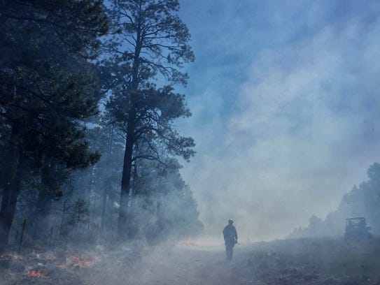 A holding crew member monitors the fire line of a prescribed