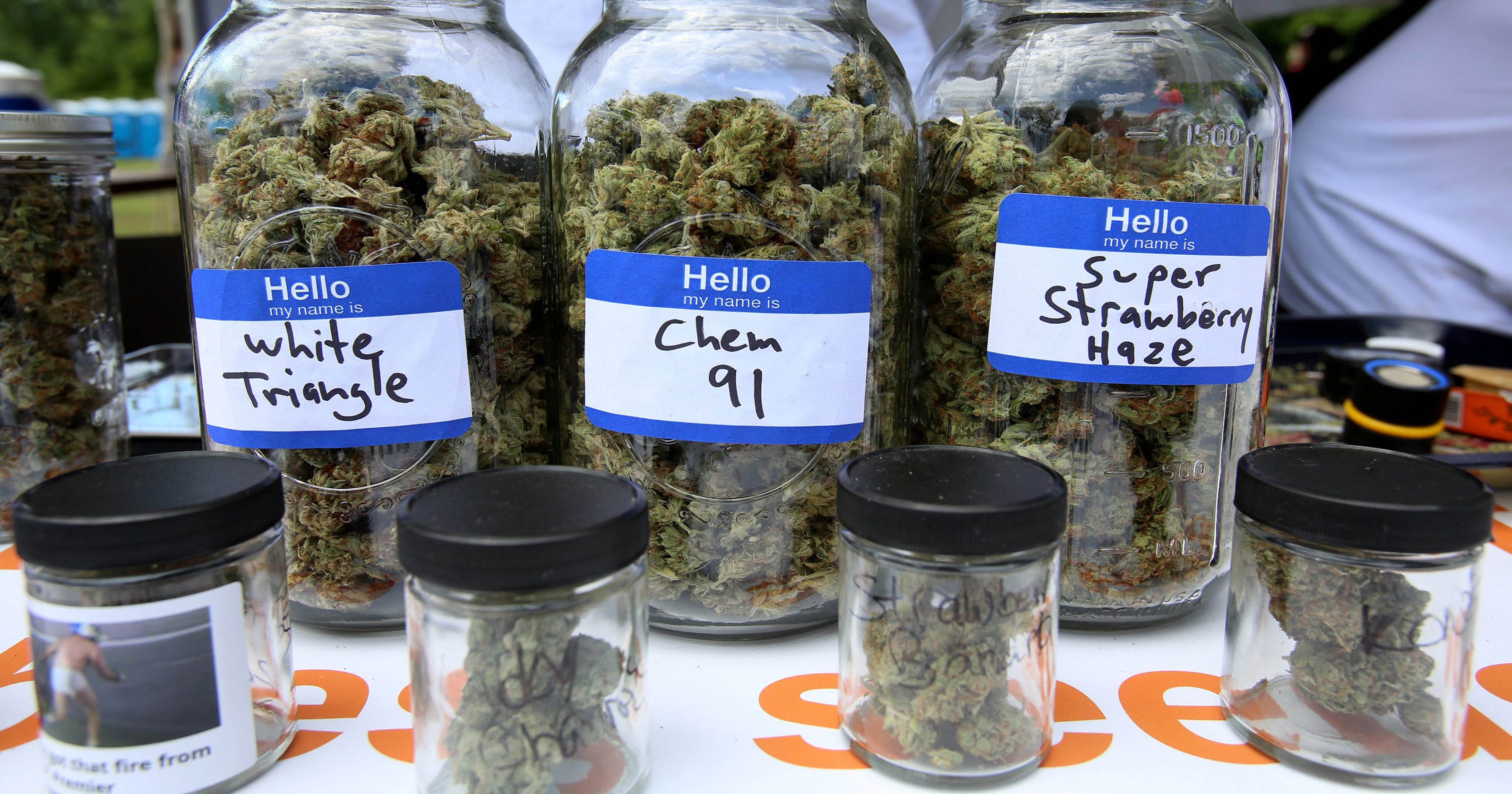 State says growers, processers, sellers of pot can be in ...