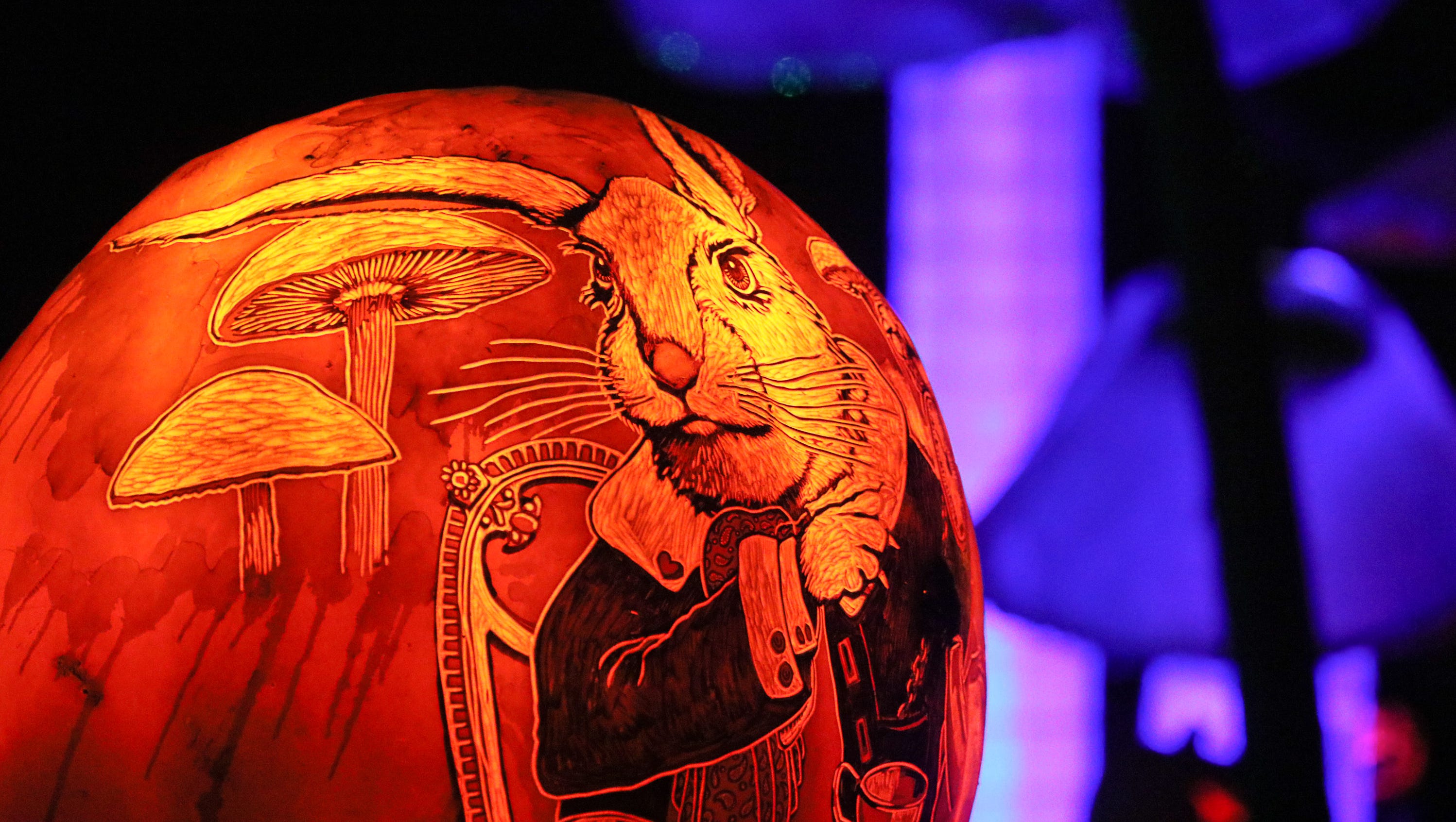 louisville jack o lantern spectacular promo code louisville jack o lantern spectacular promo code