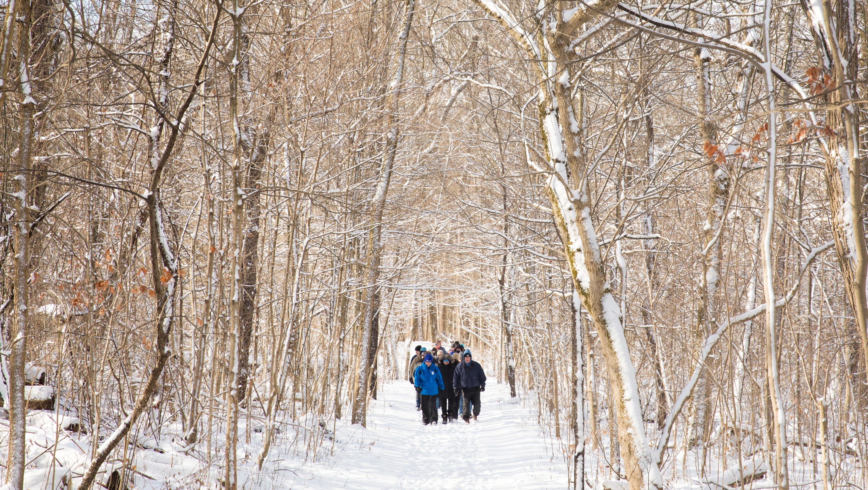 Winter Hikes Cincinnati