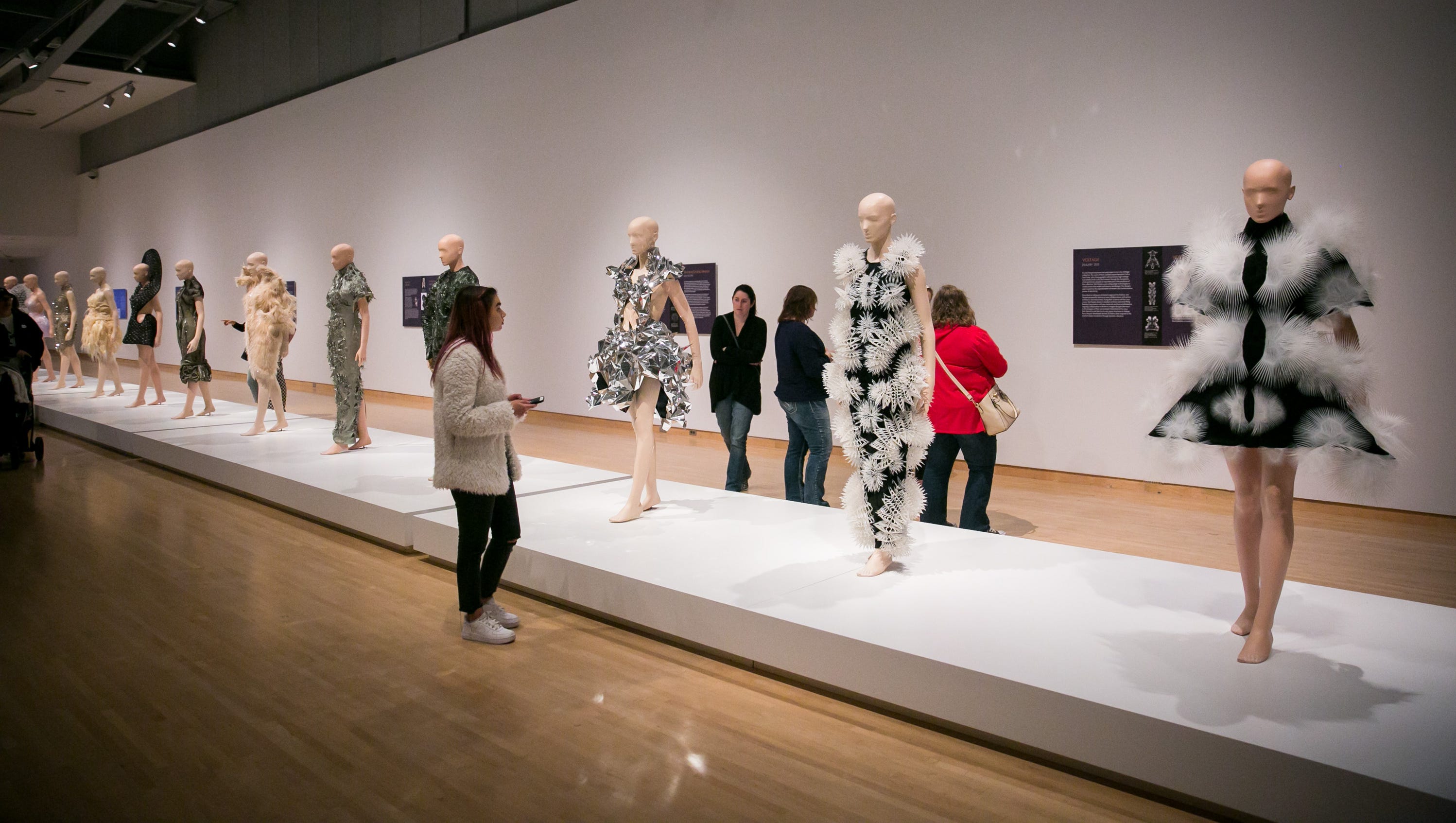 Phoenix Art Museum S New Director Is Timothy Rodgers