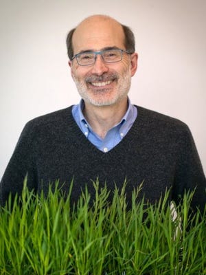 Rick Amasino, a UW-Madison professor of biochemistry and genetics