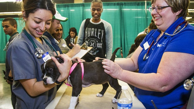 Army veteran Derrick Williams (center) has his dog, Coco, looked at by volunteers Keyra Reyes (left) and Dr. Colleen Salmon at the 2018 Maricopa County StandDown at Arizona Veterans Memorial Coliseum in Phoenix on Jan. 25, 2018.