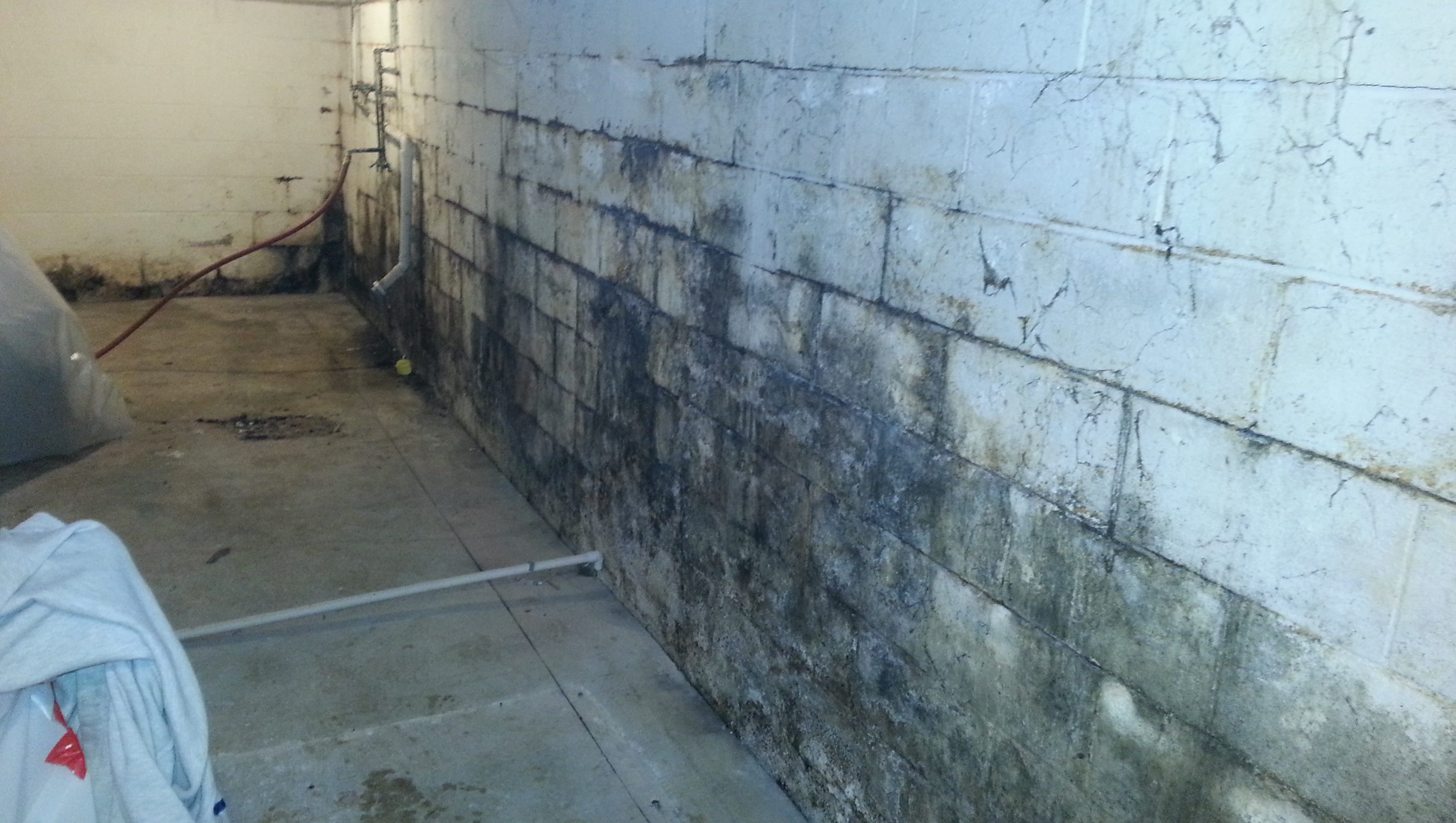 Stop Mold From Lurking In Your Basement Stop Mold From Lurking In Your Basement